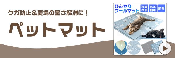 Cat Banner