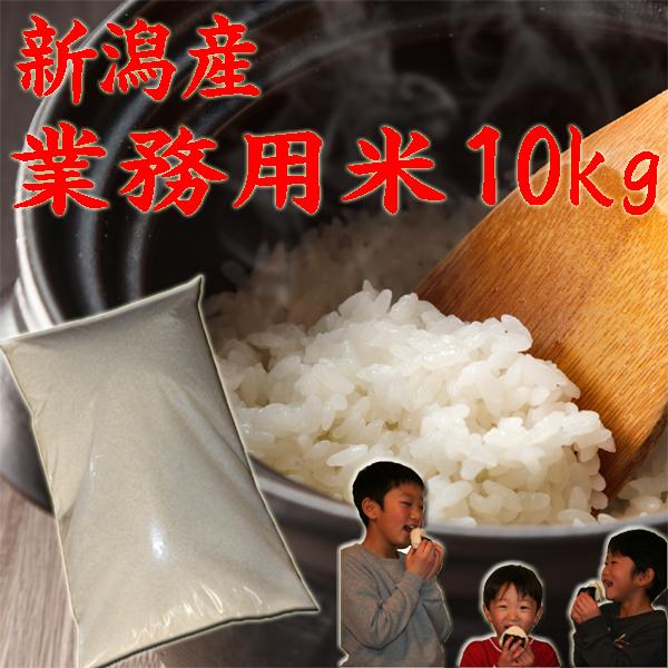 米 令和6年 新潟産 にじのきらめき 10kg 5kg×2袋 送料無料 新潟