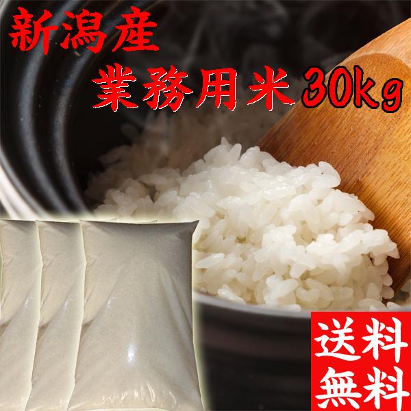 長崎県産 新米 お米（白米）30kg /令和6年度産/専門農家直送/30キロ 23011762df0b76fa4e1161e43f4974