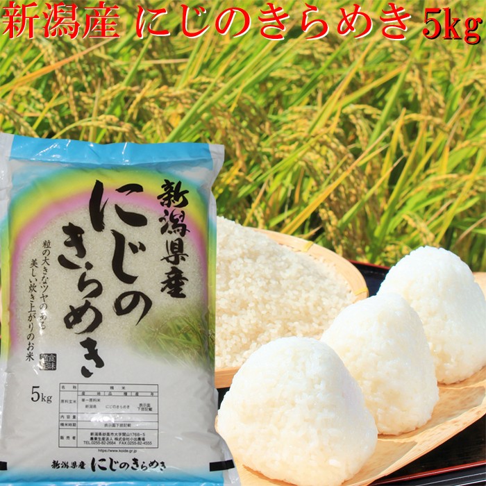米 令和6年 新潟産 業務用 米 25kg 送料無料 お米 訳あり米 送料