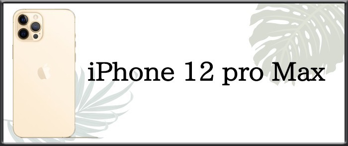 iphone12promax