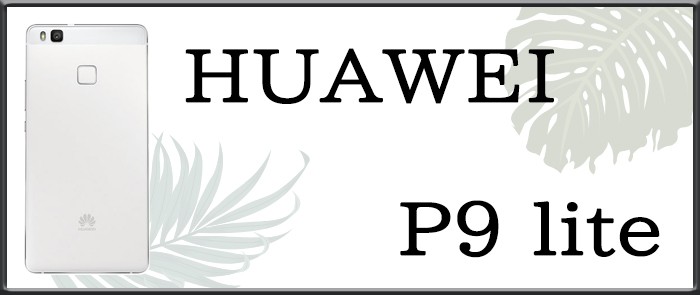 HUAWEI V[Y