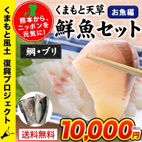 くまもと天草鮮魚セット