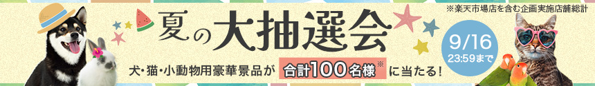 ���I��2026