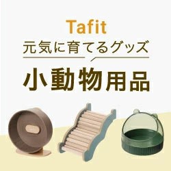 tafit