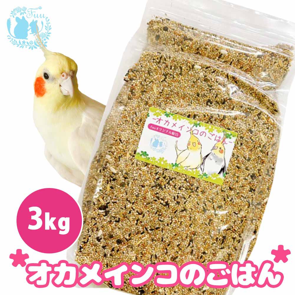 オカメインコのごはん