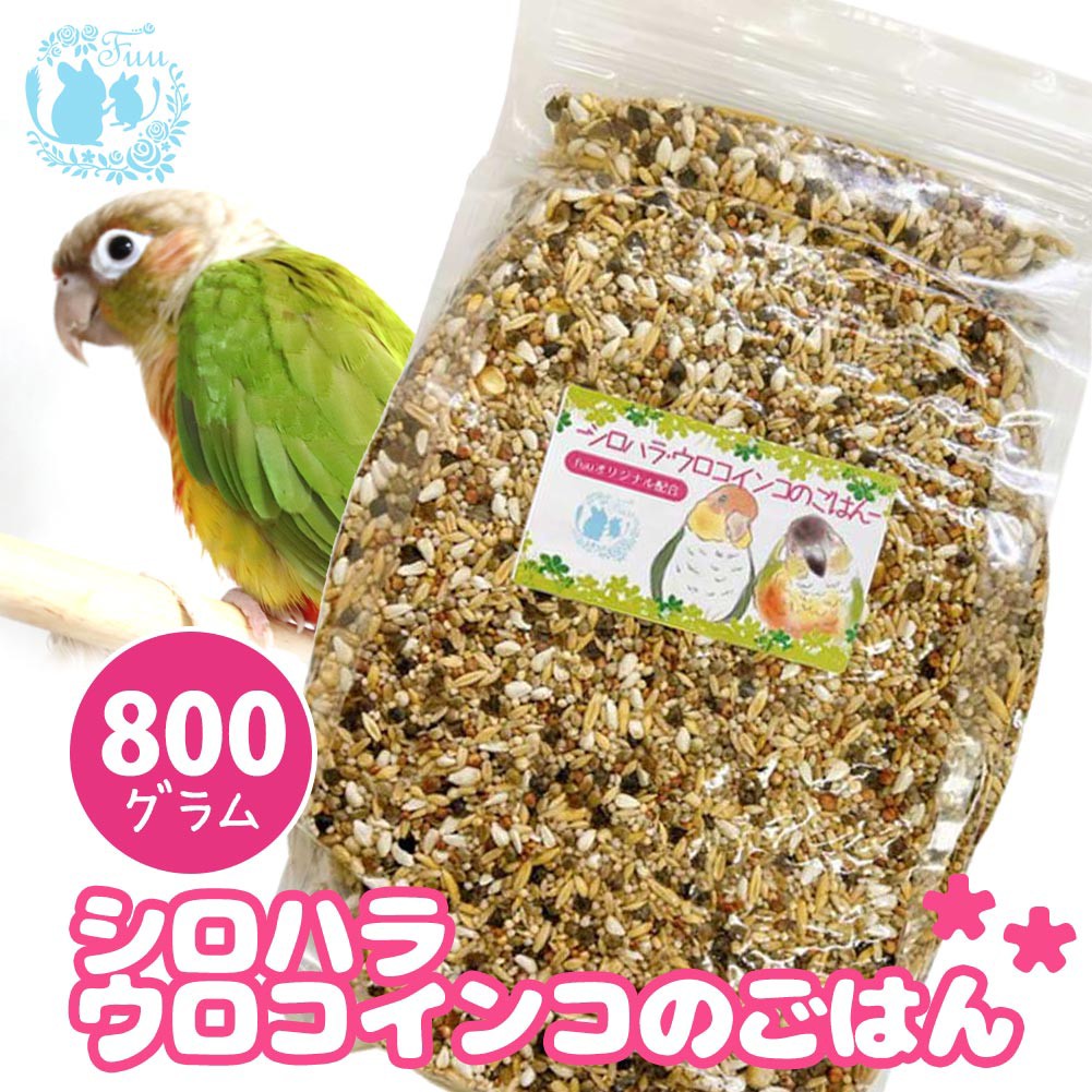 シロハラ・ウロコインコのごはん