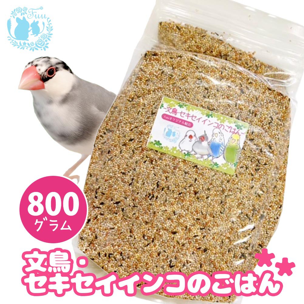 文鳥・セキセイインコのごはん