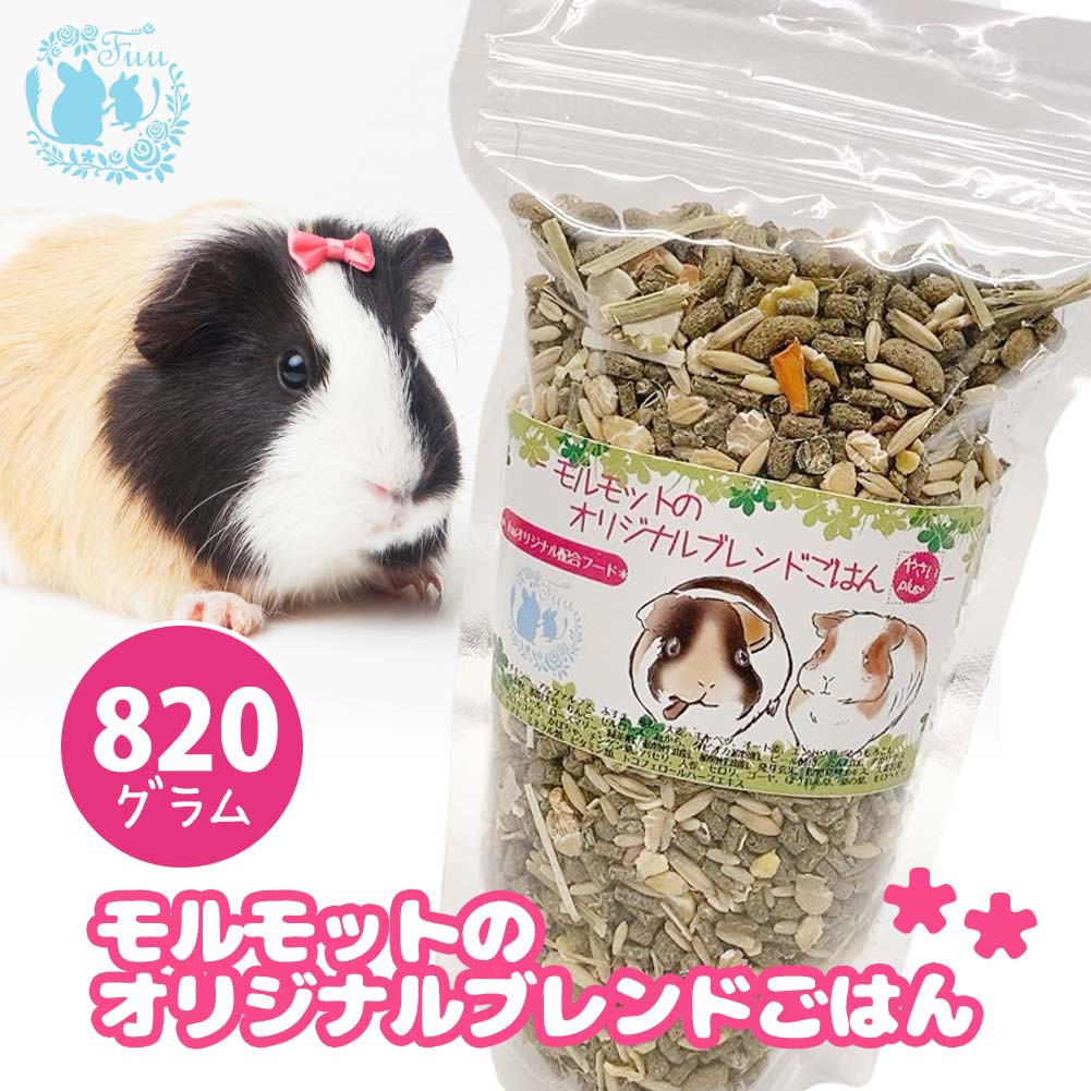 モルモットのオリジナルブレンドごはん
