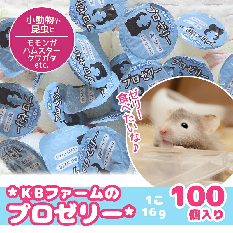 限定特価】 昆虫ゼリー プロゼリー50 クワガタ カブトムシ ハムスター モモンガ 小動物V