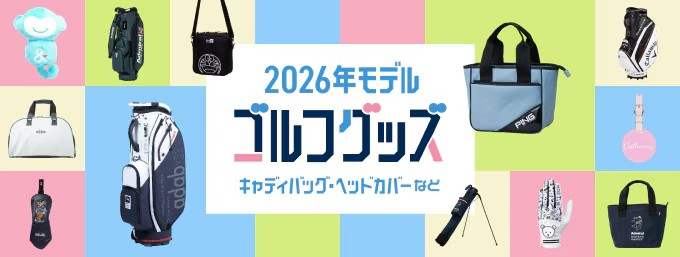 �ŐV���f���V��A�N�Z�T���[���W