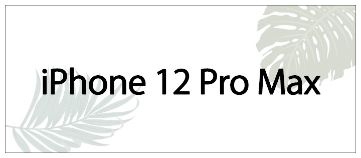 iphoneip12promax