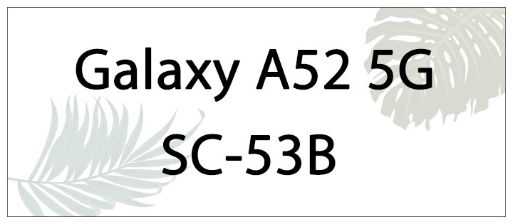 sc53b