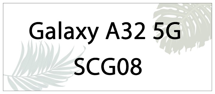 scg08