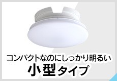 小型タイプ