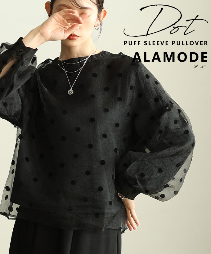 ���f�B�Ɍ��܂�h�b�g���V�A�[�g�b�v�X