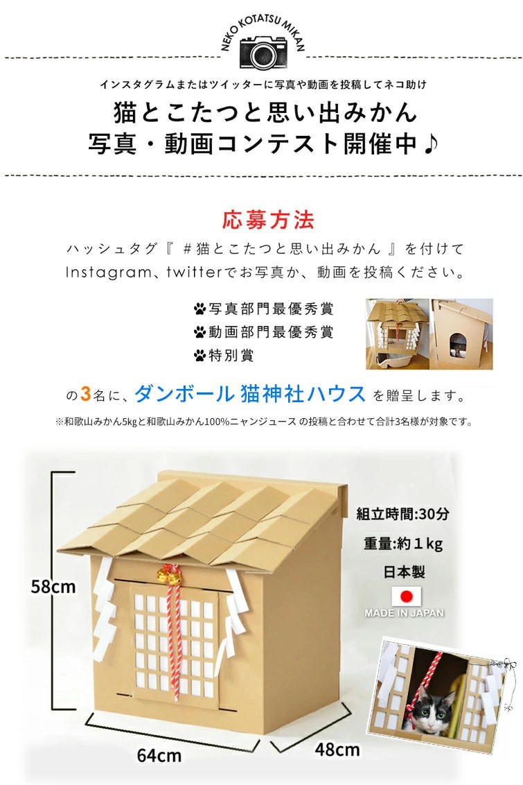 ねここたつみかん結果発表 チキン中田 ねここたつみかん結果発表 チキン中田
