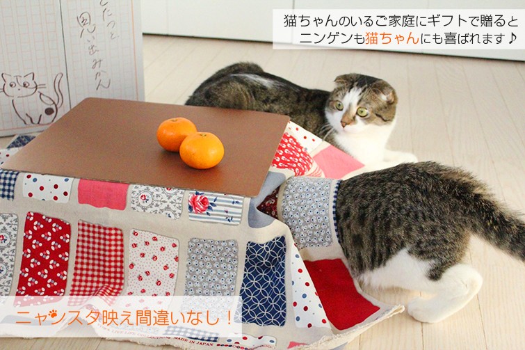 猫とこたつとみかん 日本初 ライトノベル風みかん 目を閉じれば いつもそこには猫とこたつとみかんがあったー 自然あふれる和歌山を舞台にした 甘酸っぱいストーリー この物語の主役は あなたです 猫とこたつとみかん 猫と こたつと 猫とこたつとみかん 日本初 ライトノベル風みかん 目を閉じれば いつもそこには猫とこたつとみかんがあったー 自然あふれる和歌山を舞台にした 甘酸っぱいストーリー この物語の主役は あなたです 猫とこたつとみかん 猫と こたつと