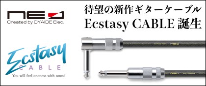 NEO created by OYAIDE Elec Ecstasy Cable M^[P[u