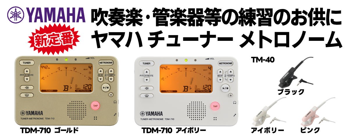 YAMAHA TDM-710 `[i[ gm[ }n