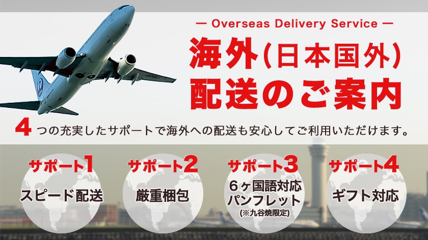 st　宅配便送料込み 宅配ボックス 25 SUS ステンレス | セイテック