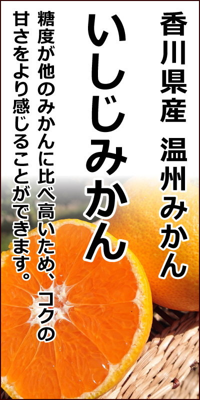 �w�������݂���x