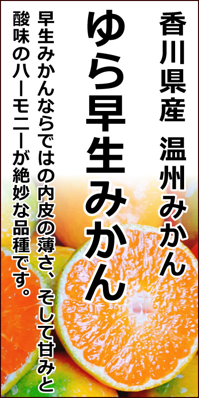 �w��瑁���݂���x