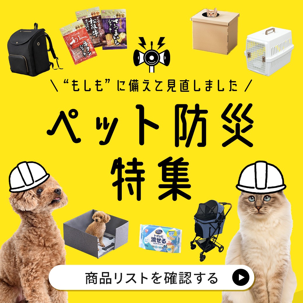防災特集