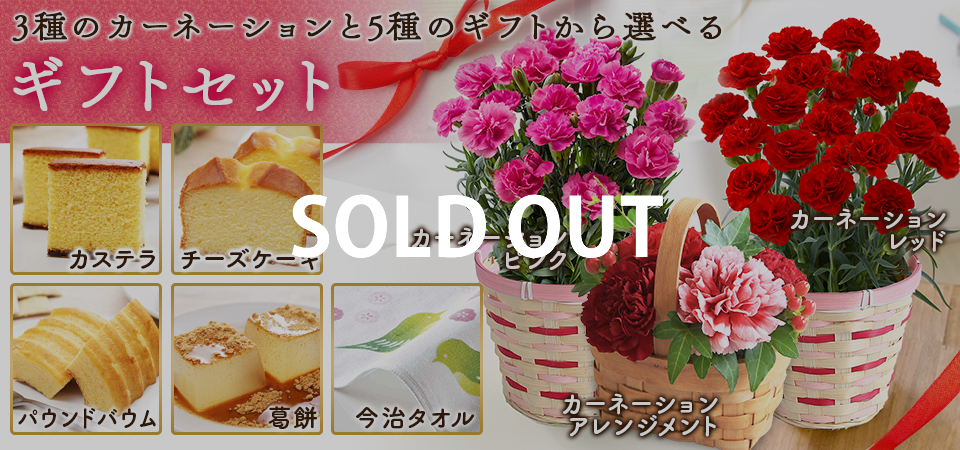 母の日特集 ガーデニングライフ Wowma 店