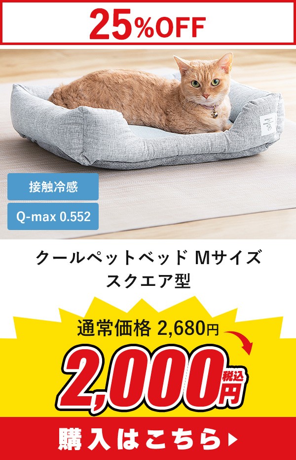 ⊴ybgxbhM