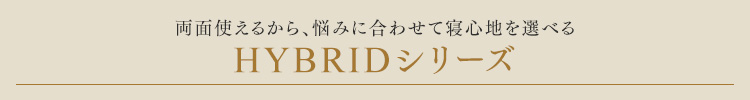 �n�C�u���b�hType PC