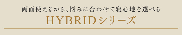 �n�C�u���b�hType SMP