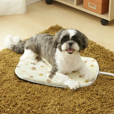 ポカポカ！ペット用ホットカーペット