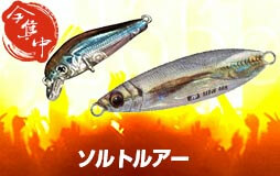 ソルトルアー会場