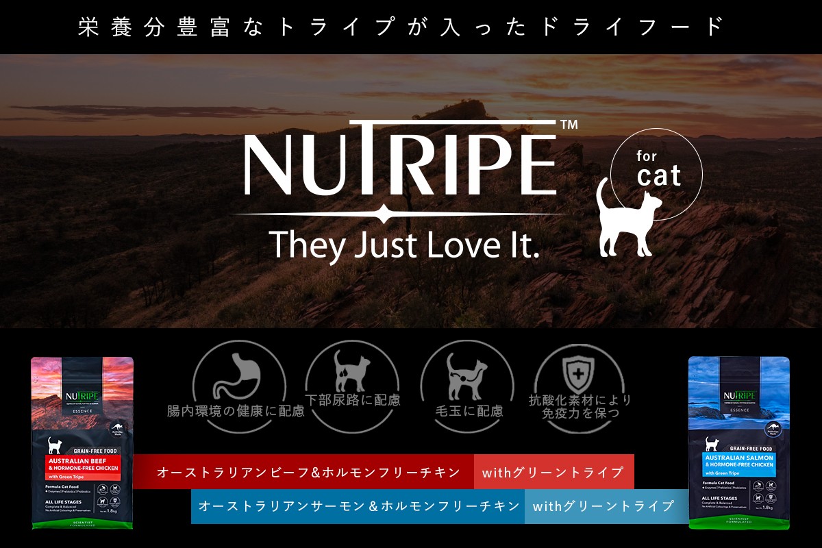 NUTRIPE ニュートライプ CAT グレインフリードライフード各種