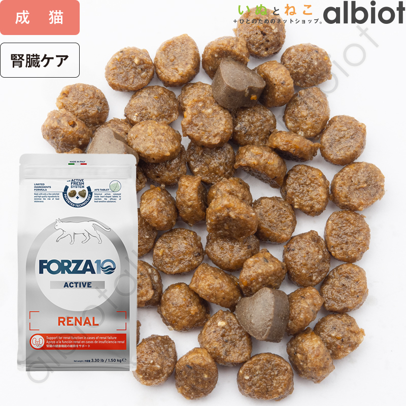 FORZA10 �t�H���c�@�f�B�G�` �A�N�e�B�u���C�� ���i�[���A�N�e�B�u �t���P�A �L���b�g�t�[�h