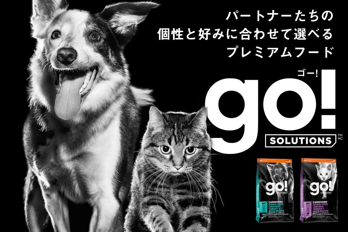 GO! SOLUTION