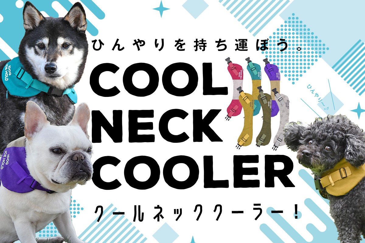 iDog@N[lbNN[[