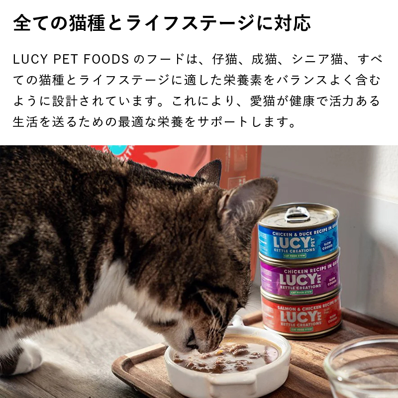 SĂ̔LƃCtXe[WɑΉ@LUCY PET FOODS̃t[h́AeLALAVjALAׂĂ̔LƃCtXe[WɓKh{foX悭܂ނ悤ɐ݌vĂ܂BɂALNŊ͂鐶𑗂邽߂̍œKȉh{T|[g܂B