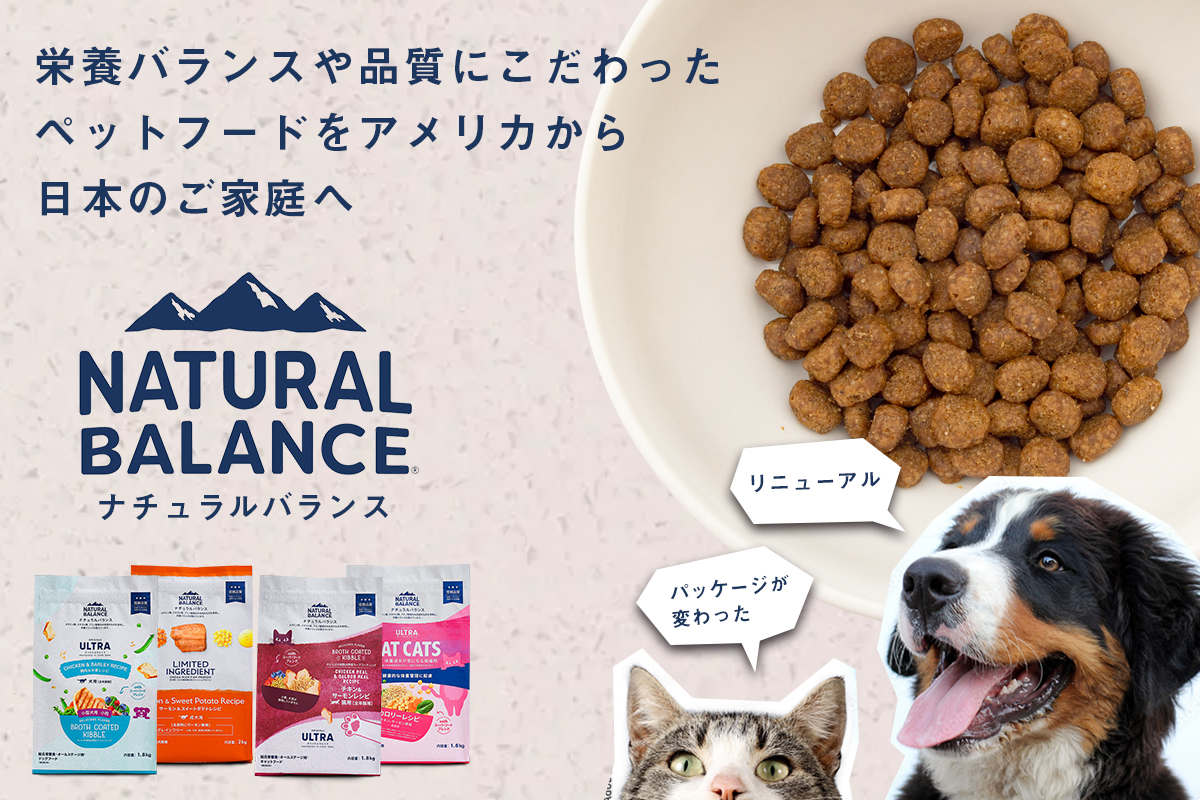 �i�`�������o�����X