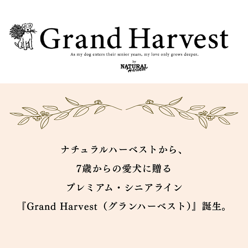 �i�`�������n�[�x�X�g����A�V�΂���̈����ɑ���v���~�A���E�V�j�A���C���@�wGrand Harvest�i�O�����n�[�x�X�g�j�x�a���B
