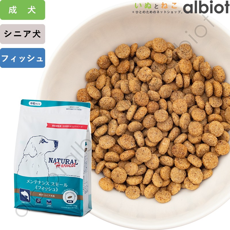 メンテナンススモール フィッシュ