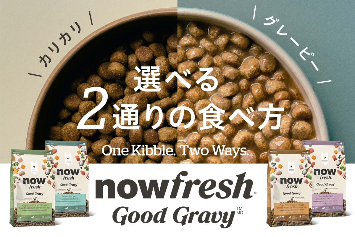 NOW FRESH iEtbV@Iׂ2ʂ̐Hו@ObhO[r[hbOt[h