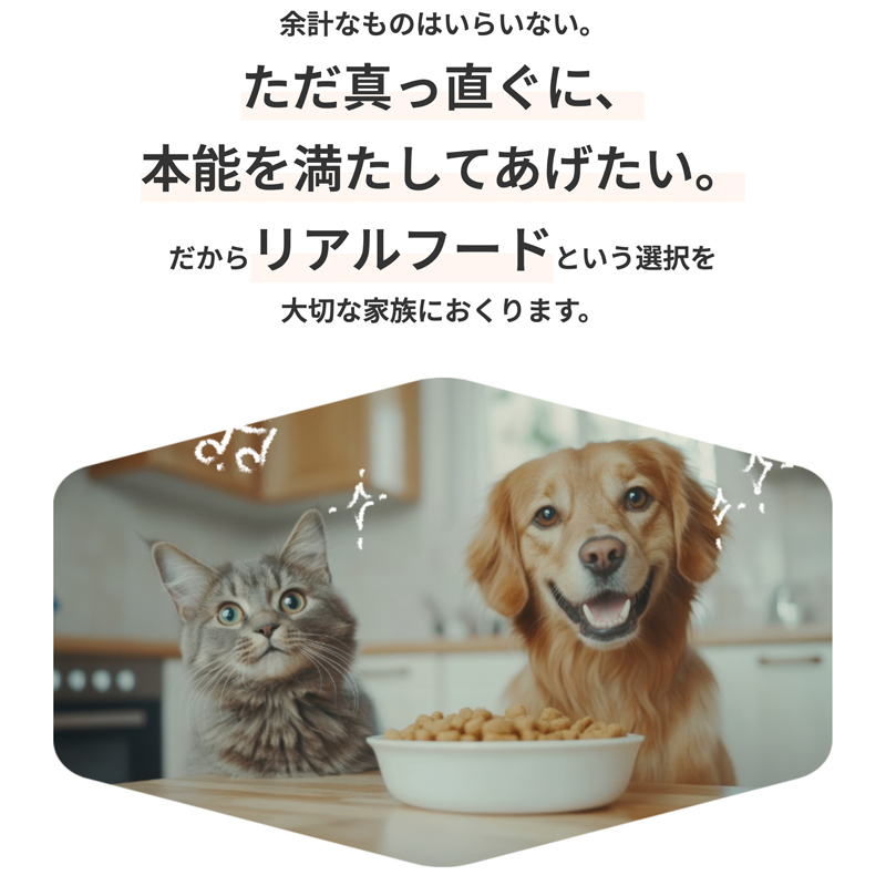 �]�v�Ȃ��̂͂���Ȃ��B�����^�������ɖ{�\�𖞂����Ă��������B�����烊�A���t�[�h�Ƃ����I�����؂ȉƑ��ɑ���܂��B