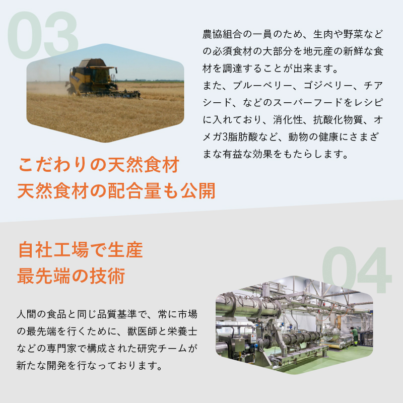 �������̓V�R�H�ށ@�V�R�H�ނ̔z���ʂ����J�B���ЍH��Ő��Y�@�Ő�[�̋Z�p�B