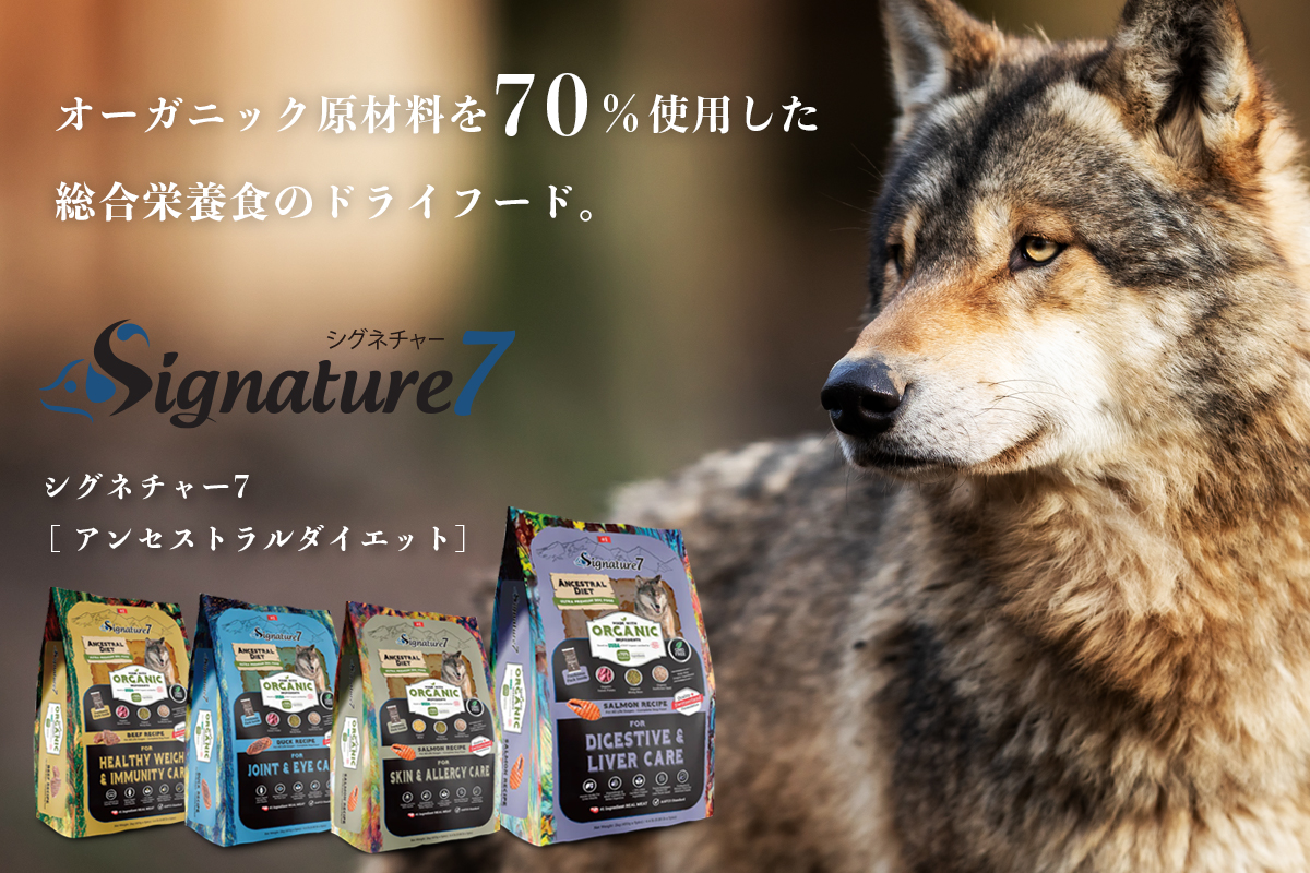 Signature 7 AZXg_CGbg hbOt[h