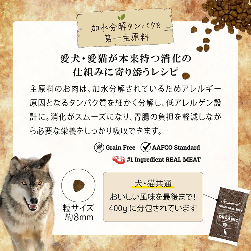 �����E���L���{���������̎d�g�݂Ɋ��Y�����V�s