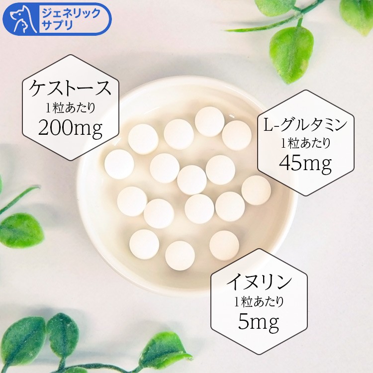 腸元気 ケストースタブ