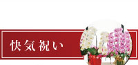 カテゴリー
