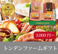 トンデンファームギフト